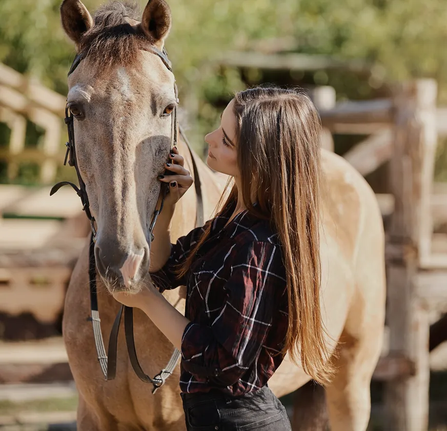 екскурсія у стайню