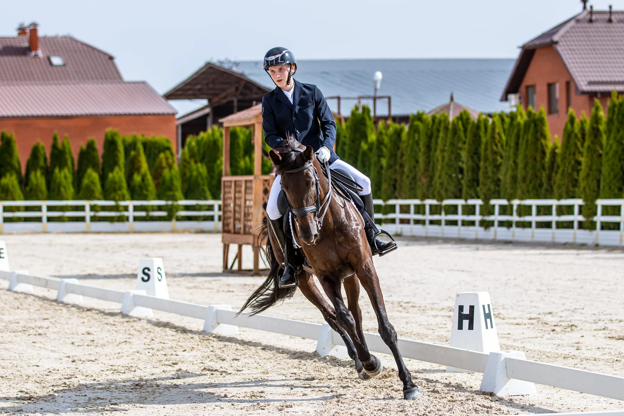 Утримання коней