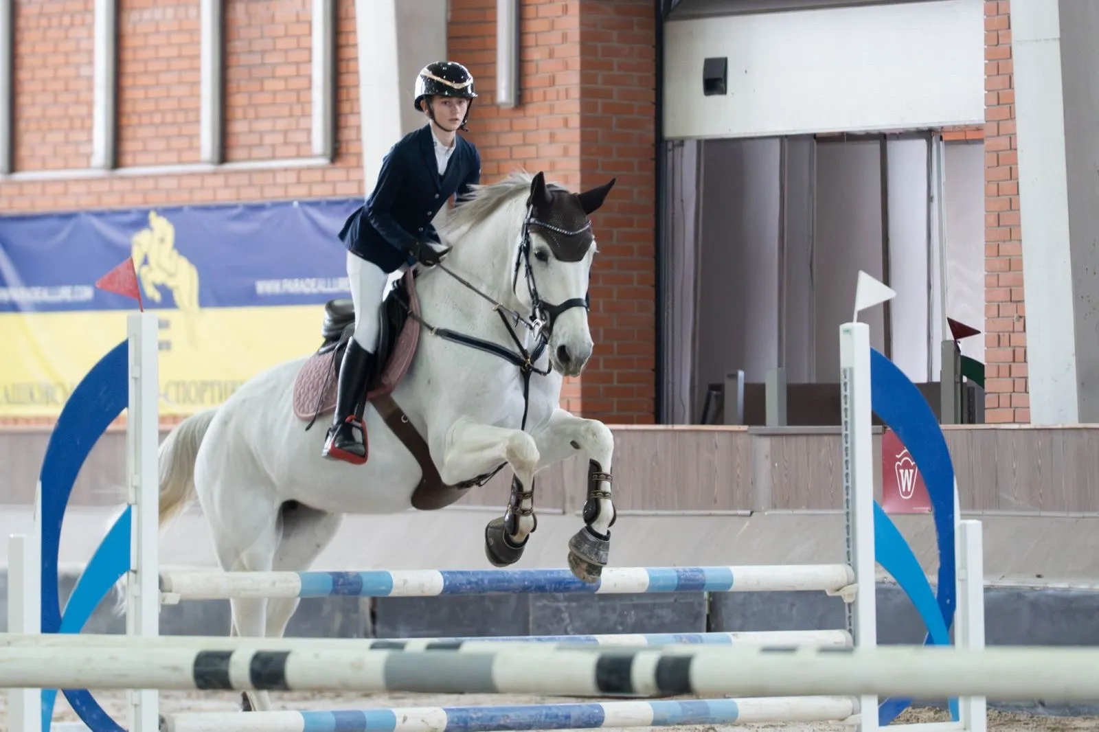 Відкриті регіональні змагання з кінного спорту
