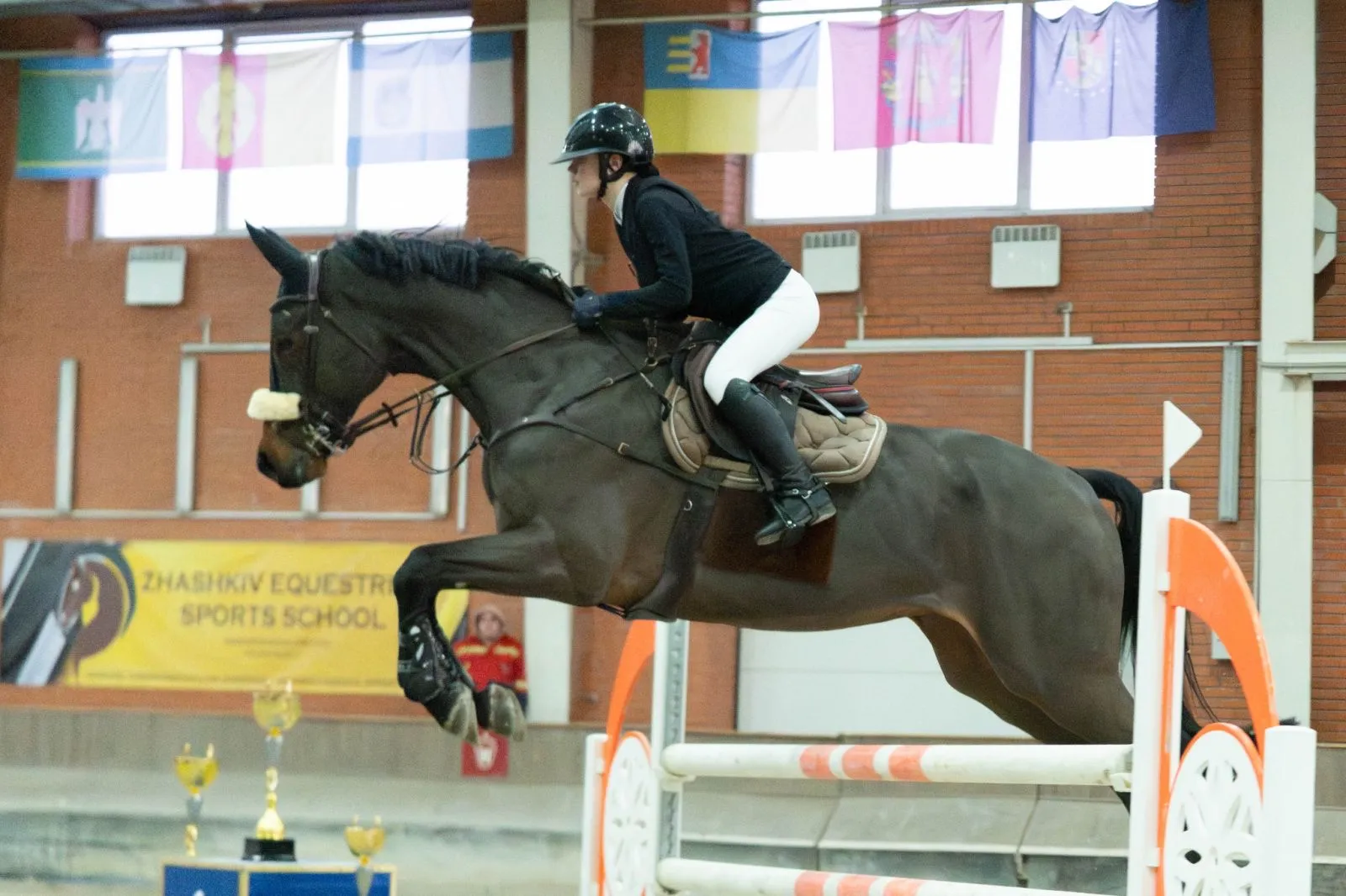 Відкриті регіональні змагання з кінного спорту