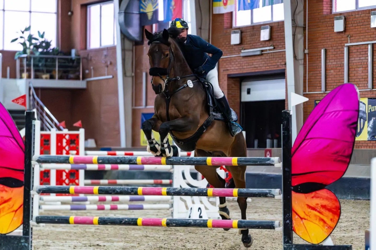 Відкриті регіональні змагання з кінного спорту