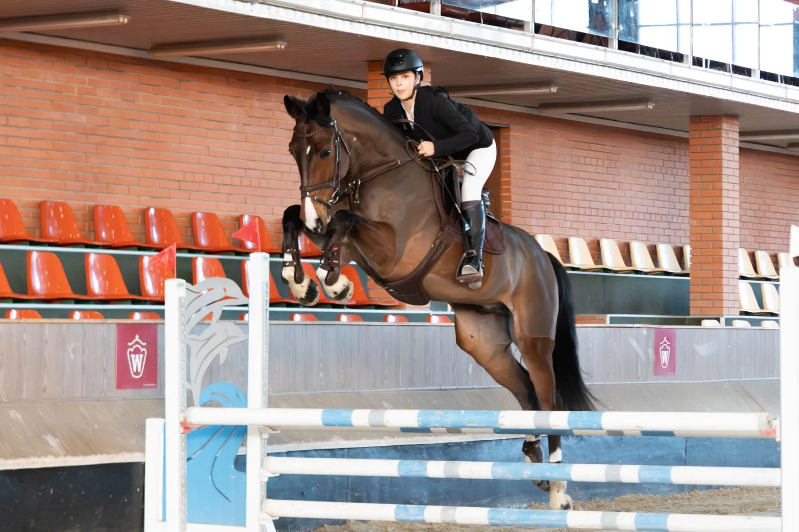 Відкриті регіональні змагання з кінного спорту