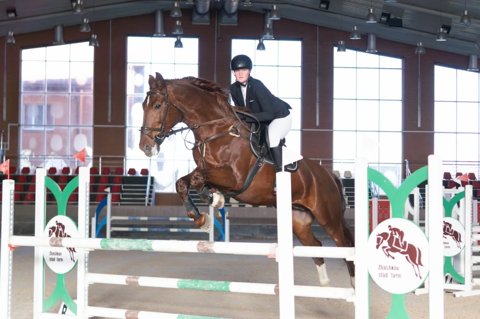 Відкриті регіональні змагання з кінного спорту