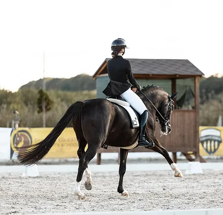 Робота на корді