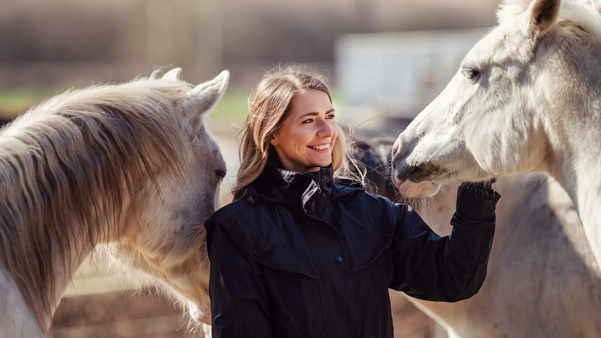 утримання коней